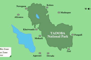 Guide to the Zones of Tadoba National Park