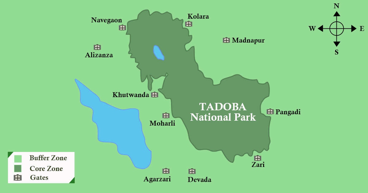 A Comprehensive Guide to the Zones of Tadoba National Park