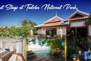 Best Stays at Tadoba National Park