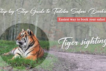 Your Ultimate Step-by-Step Guide to Tadoba Safari Booking