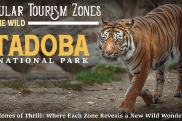 Popular Tourism Zones Of The Wild Tadoba