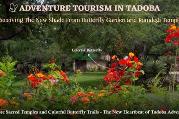 Adventure Tourism in Tadoba Receives New Shade From Butterfly Garden and Ramdegi Temple