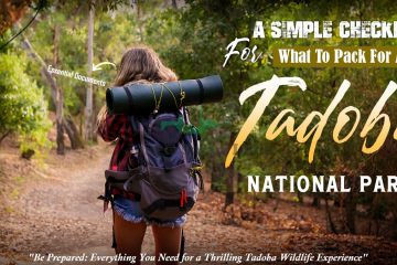 A Simple Checklist For What To Pack For A Trip To Tadoba