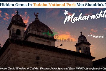 hidden gems in tadoba