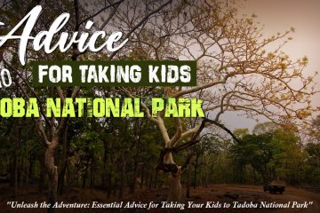 Tadoba Safari Booking