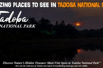 places to see in Tadoba