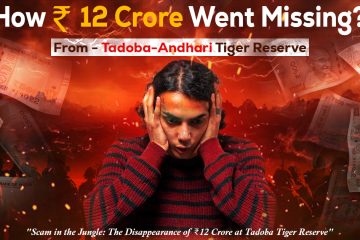 How Rs. 12 Crore Went Missing From Tadoba-Andhari Tiger Reserve