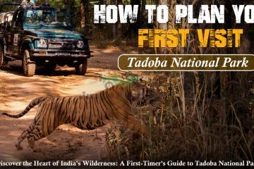 visit to Tadoba