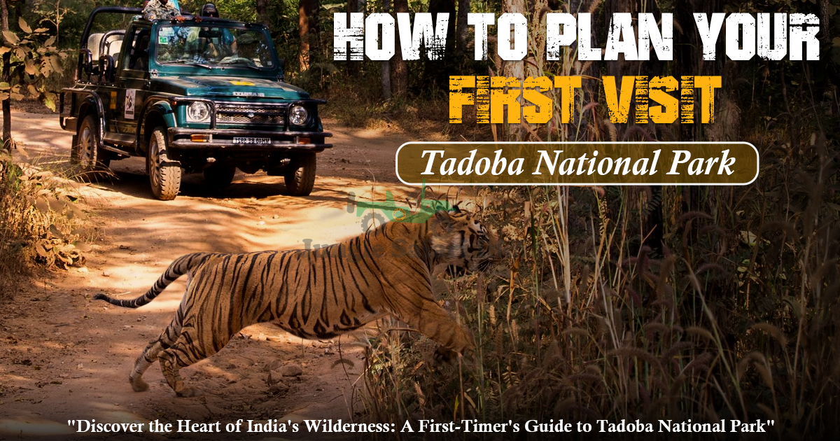 How To Plan Your First Visit To Tadoba National Park