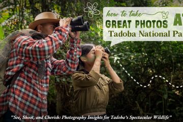 photos at Tadoba