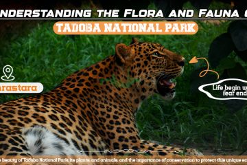 Understanding The Flora And Fauna Of Tadoba