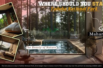 Where Should You Stay In Tadoba National Park?