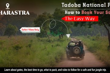 Tadoba National Park how to book your safari the easy way