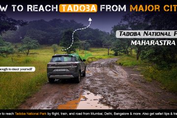 How to Reach Tadoba from Major Cities
