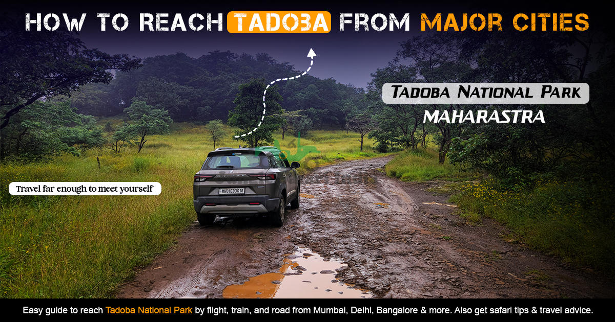 How To Reach Tadoba From Major Cities