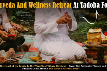Ayurveda And Wellness Retreat At Tadoba Forest