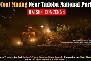 Coal Mining Near Tadoba National Park Raises Concerns