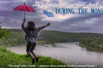 Why Is Tadoba National Park Closed During The Monsoon