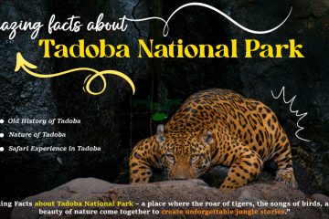 Amazing facts about Tadoba National Park