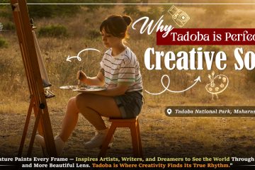 Why Tadoba is Perfect for Creative Souls