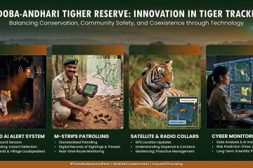Tadoba Tiger Tracking Technology Explained